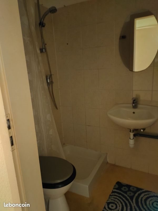 Appartement à louer, 18m², Colmar