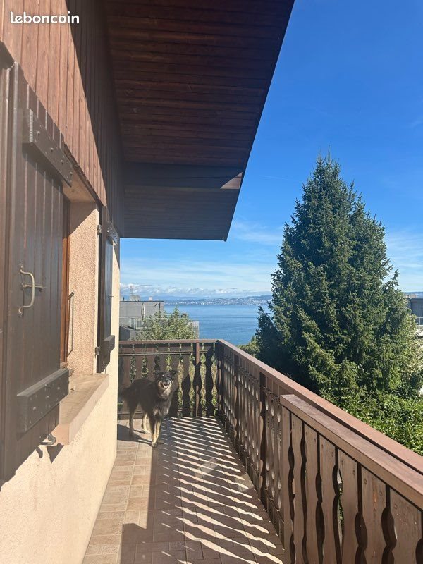 Appartement à louer, 40m², Neuvecelle