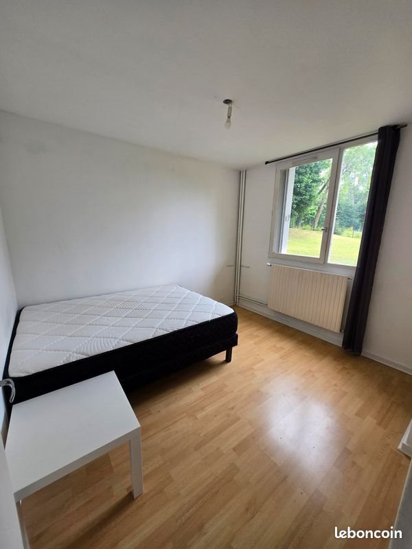 Appartement à louer, 50m², Saint-Etienne