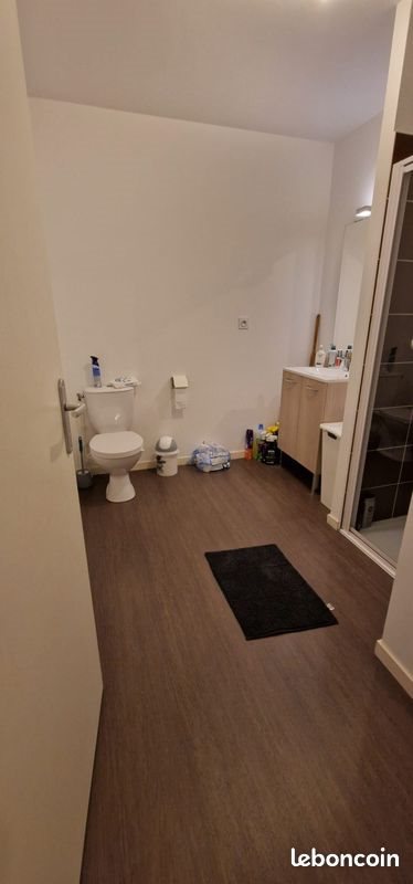 Appartement à louer, 45m², Joué-lès-Tours