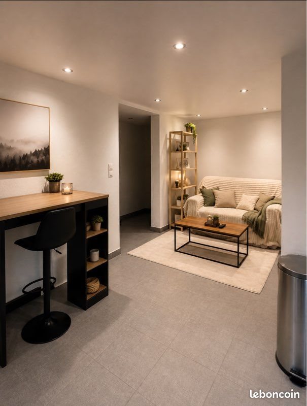 Appartement à louer, 48m², Cluses