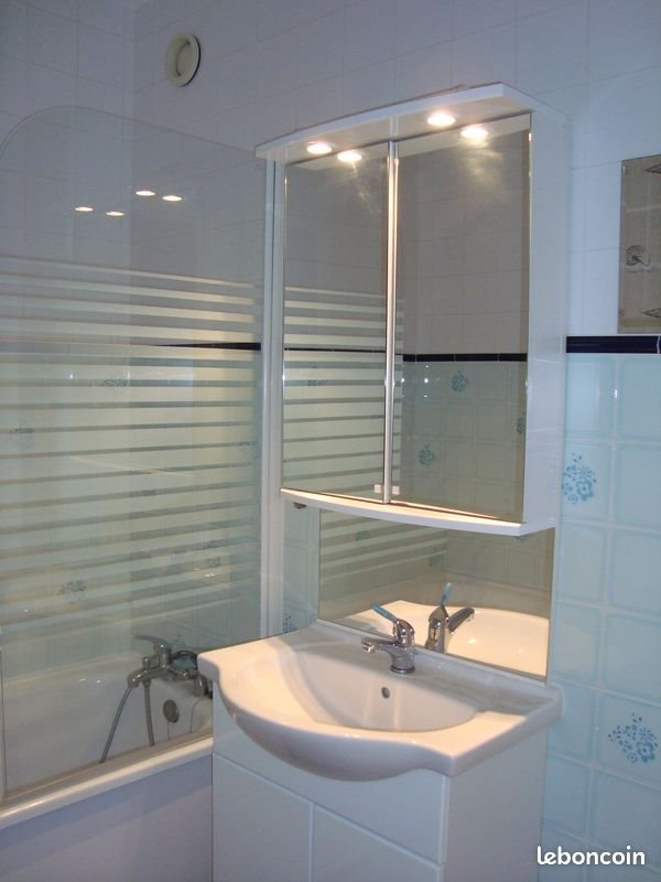 Appartement à louer, 36m², Vichy