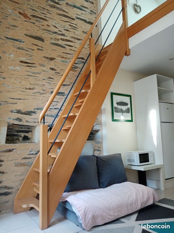 Appartement à louer, 28m², Angers