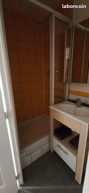 Appartement à louer, 25m², Saint-Étienne