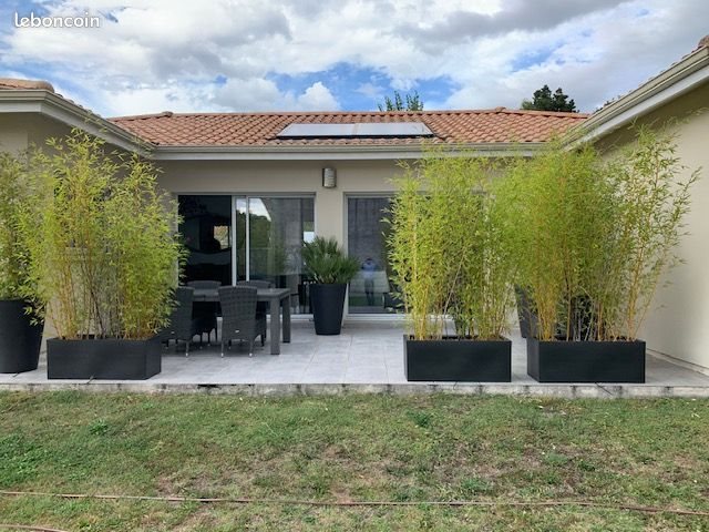 Maison à louer, 127m², Le Teich