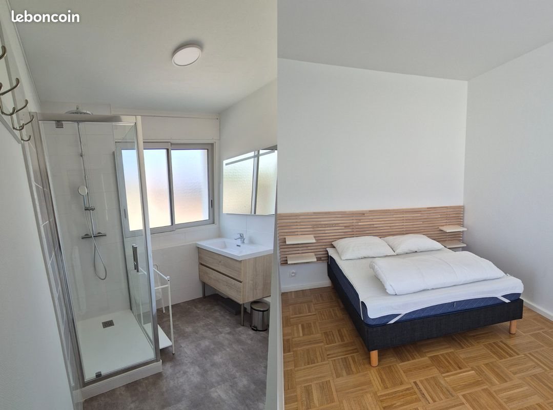 Appartement à louer, 46m², Villeurbanne