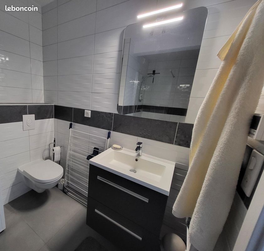 Appartement à louer, 49m², Huningue