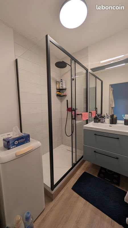 Appartement à louer, 50m², Lyon 7ème