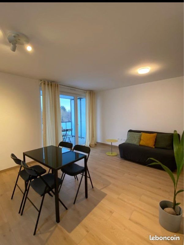 Appartement à louer, 35m², Colmar