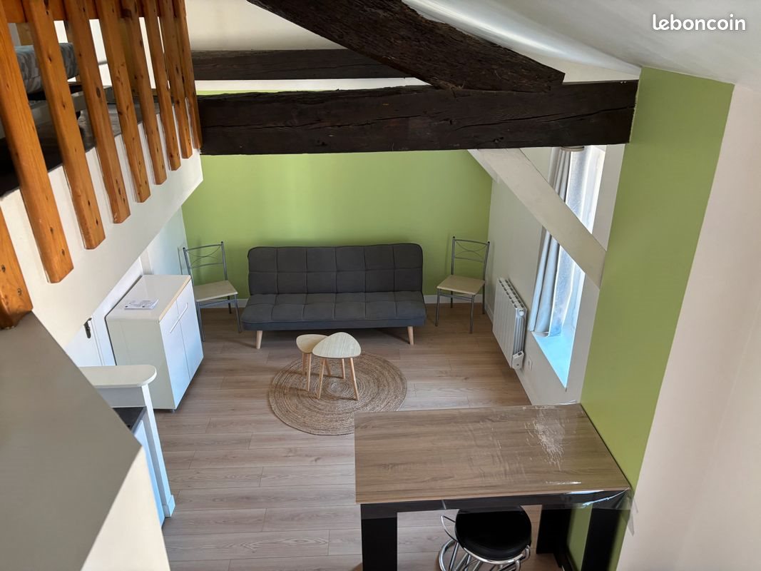 Appartement à louer, 30m², Nancy