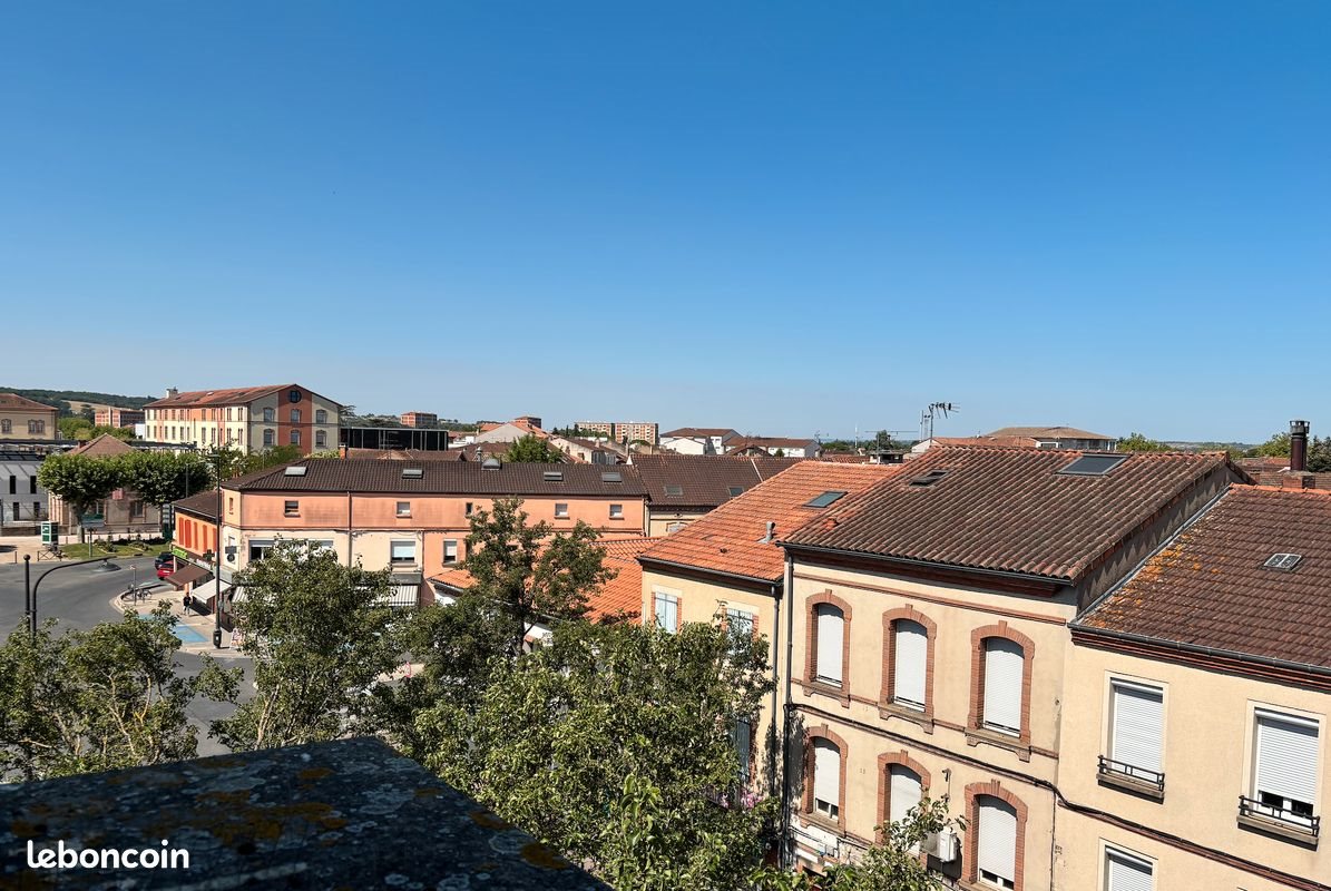 Appartement à louer, 19m², Albi