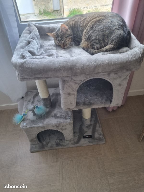 Appartement à louer, 50m², Caen