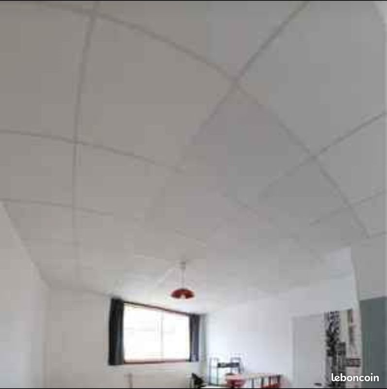Appartement à louer, 24m², Roanne