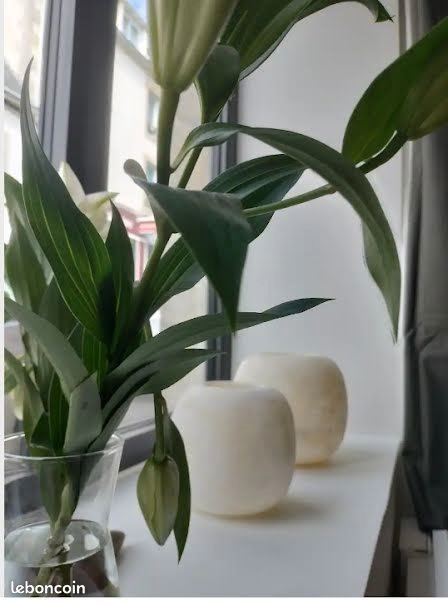 Appartement à louer, 50m², Bénodet