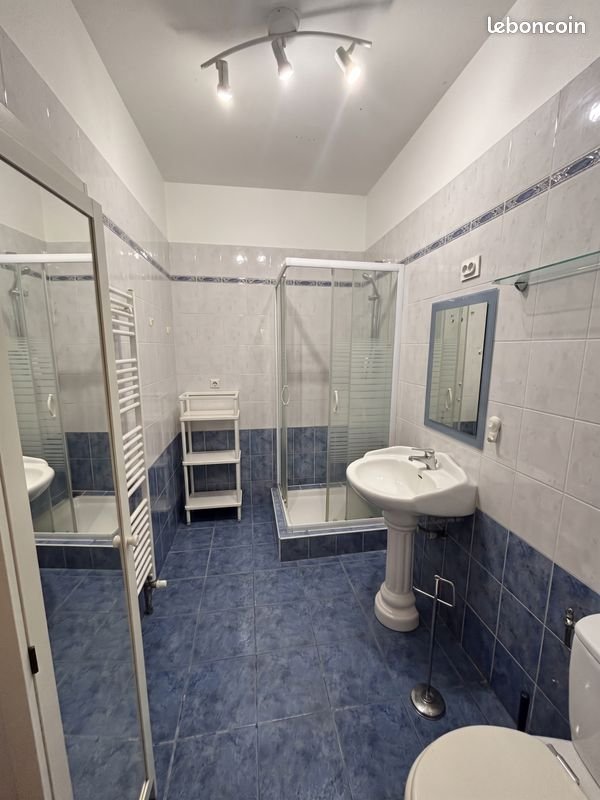 Appartement à louer, 42m², Saint-Étienne