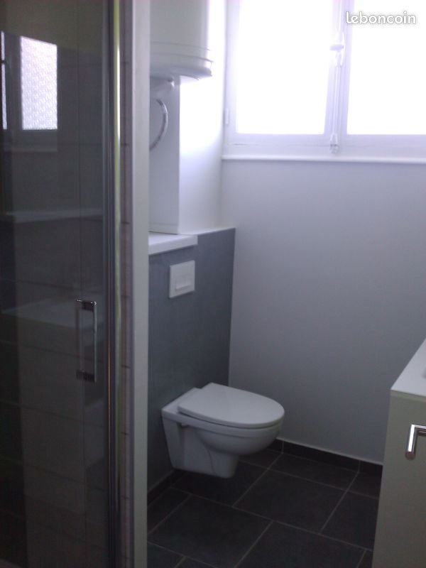Appartement à louer, 31m², Nancy