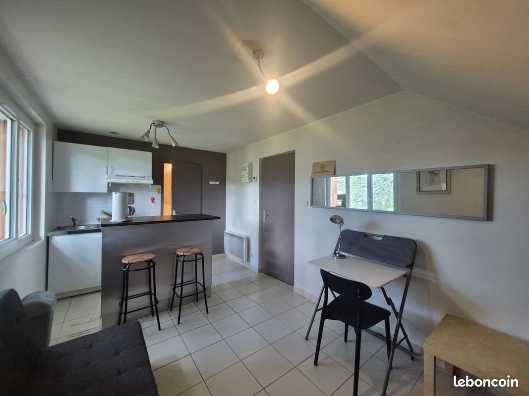 Appartement à louer, 19m², Écully