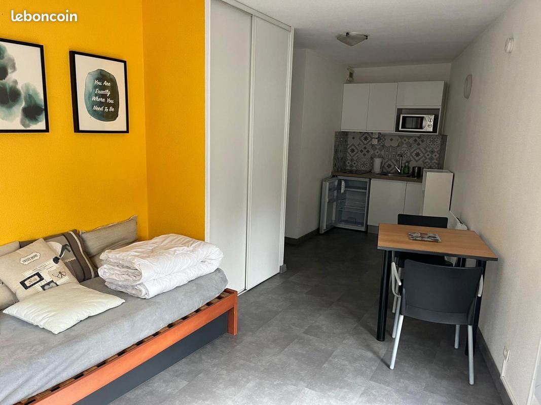 Appartement à louer, 23m², Saint-Etienne