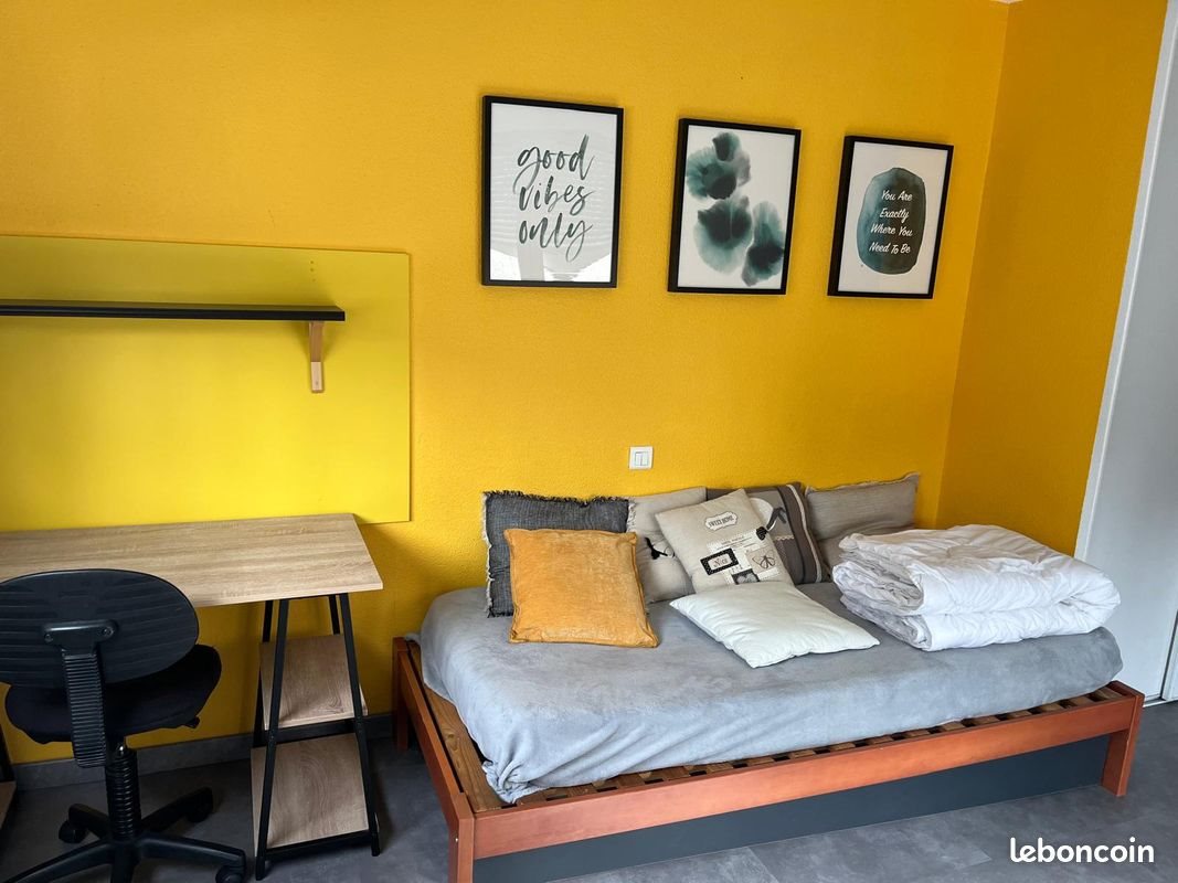 Appartement à louer, 23m², Saint-Etienne
