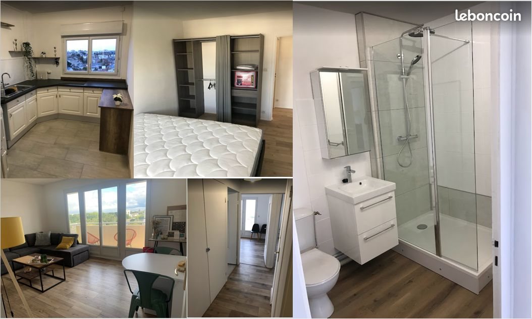 Appartement à louer, 50m², Angers