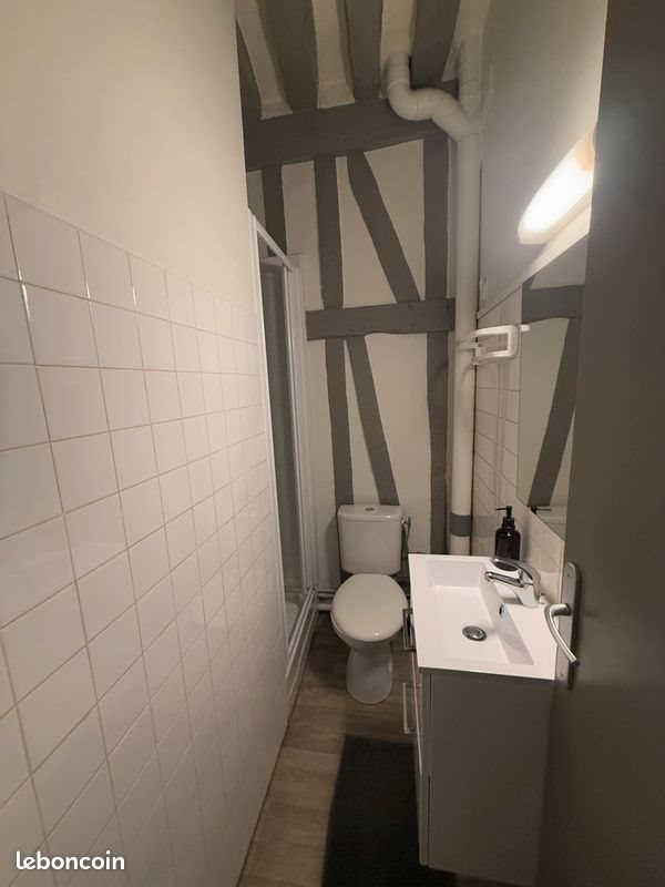 Appartement à louer, 15m², Rouen