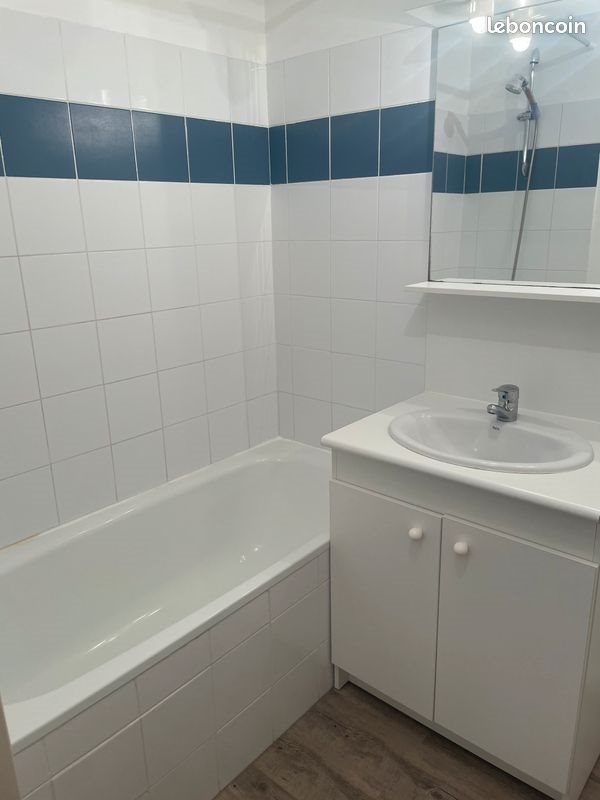 Appartement à louer, 40m², Le Mans