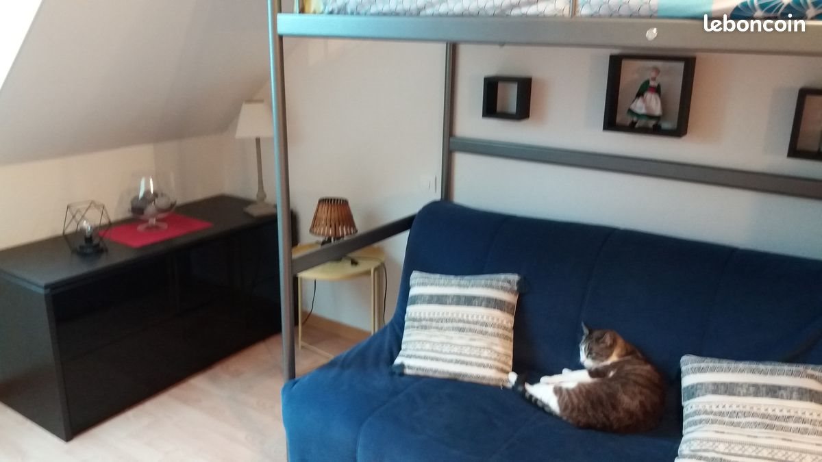Appartement à louer, 17m², Bruz