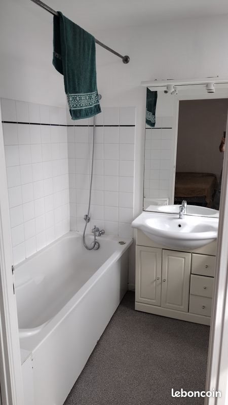 Appartement à louer, 42m², Lille