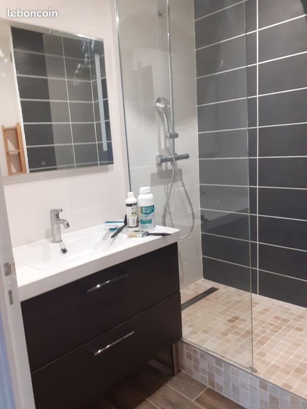 Appartement à louer, 47m², Saint-Etienne