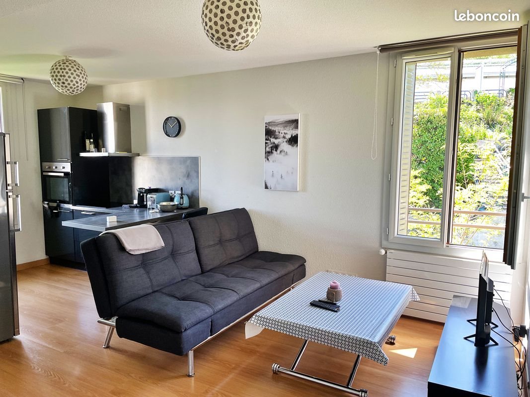 Appartement à louer, 35m², Evian-les-Bains