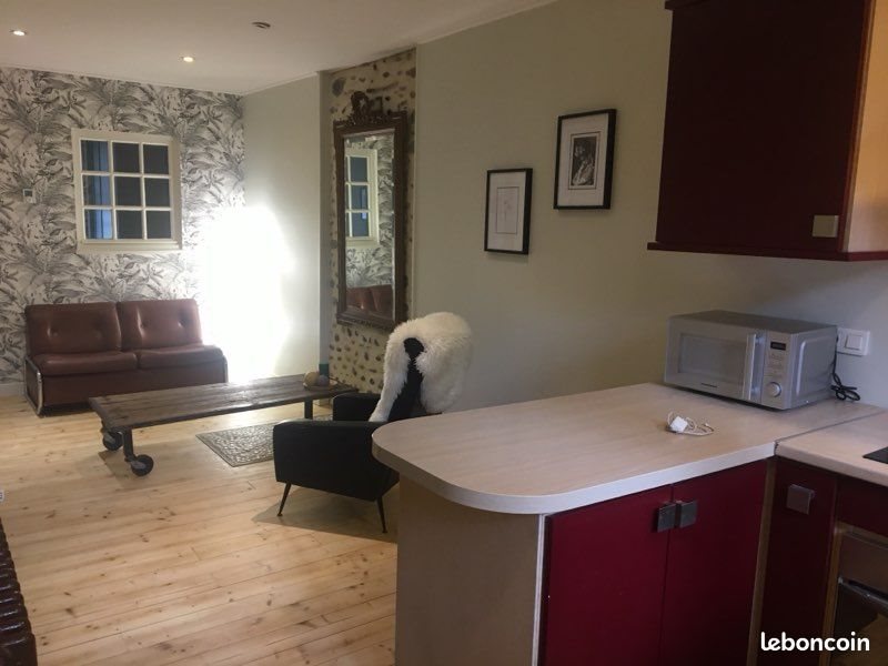 Appartement à louer, 48m², Pau