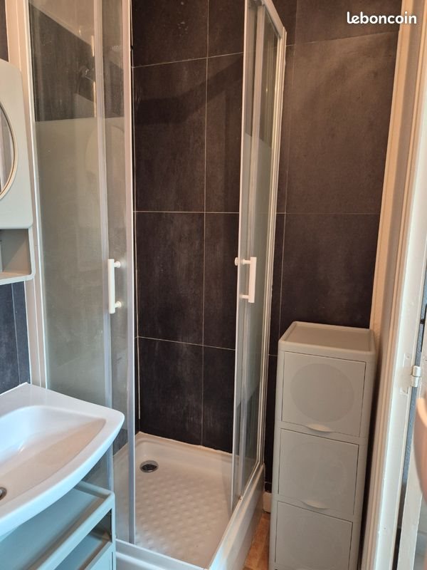Appartement à louer, 20m², Le Mans