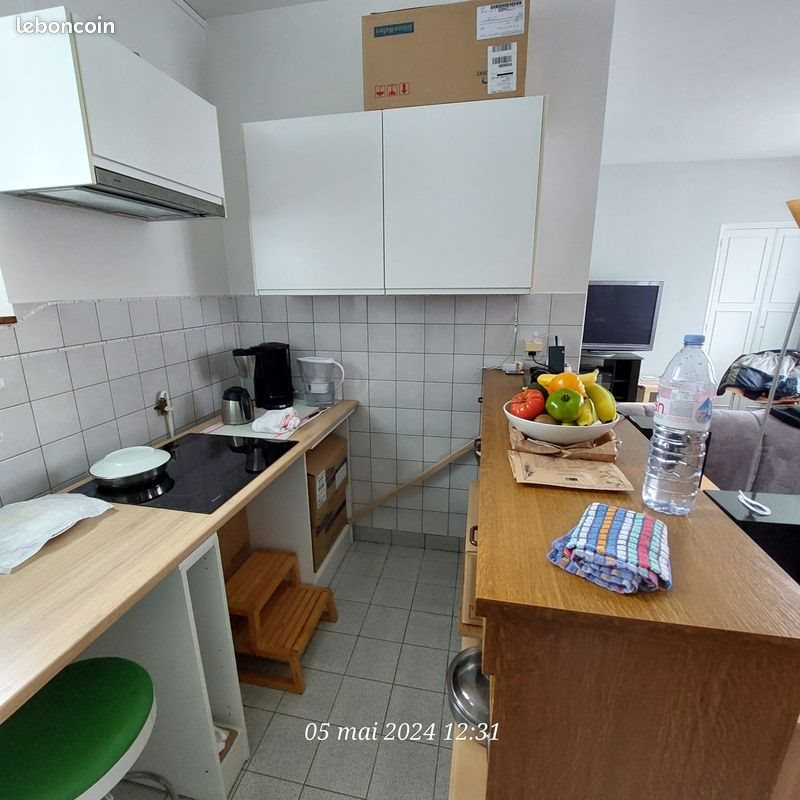 Appartement à louer, 46m², Tours