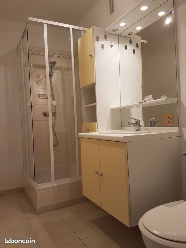 Appartement à louer, 36m², La Chapelle-Saint-Mesmin