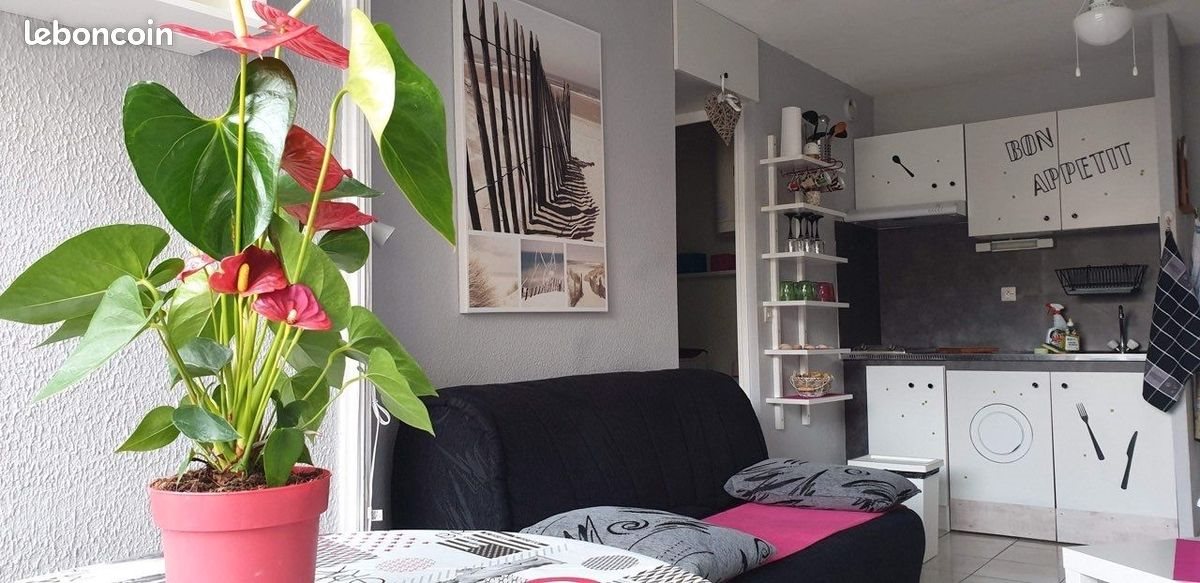 Appartement à louer, 30m², Gruissan