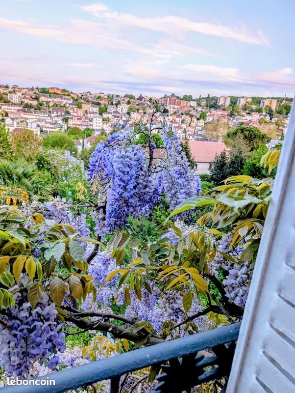 Appartement à louer, 18m², Meudon