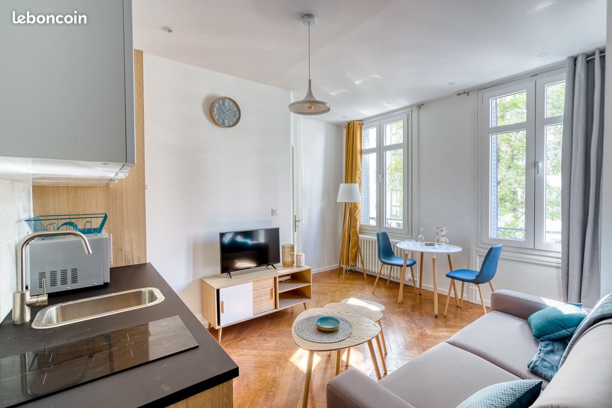 Appartement à louer, 29m², Lyon 7ème