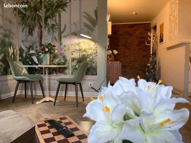 Appartement à louer, 40m², Montauban