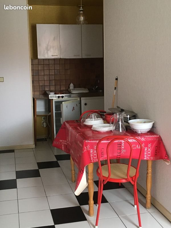 Appartement à louer, 30m², Castres