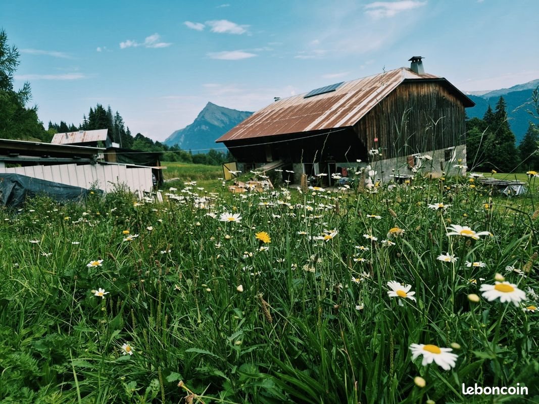Maison à vendre, 300m², Saint-Sigismond