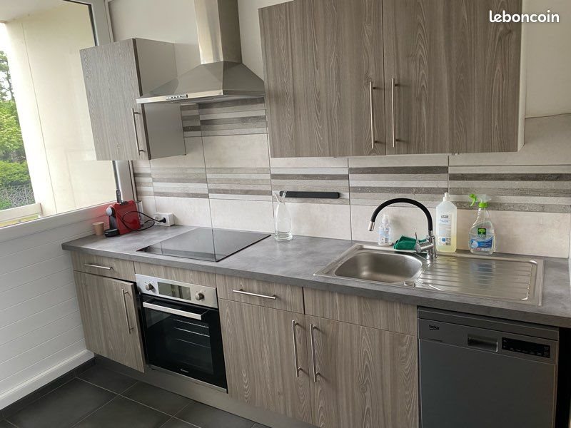 Appartement à louer, 53m², Bron