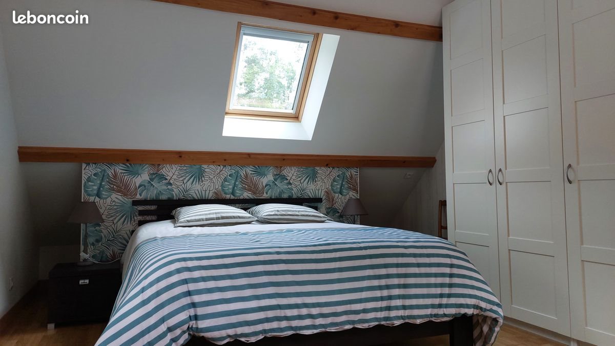 Appartement à louer, 55m², Mont-près-Chambord