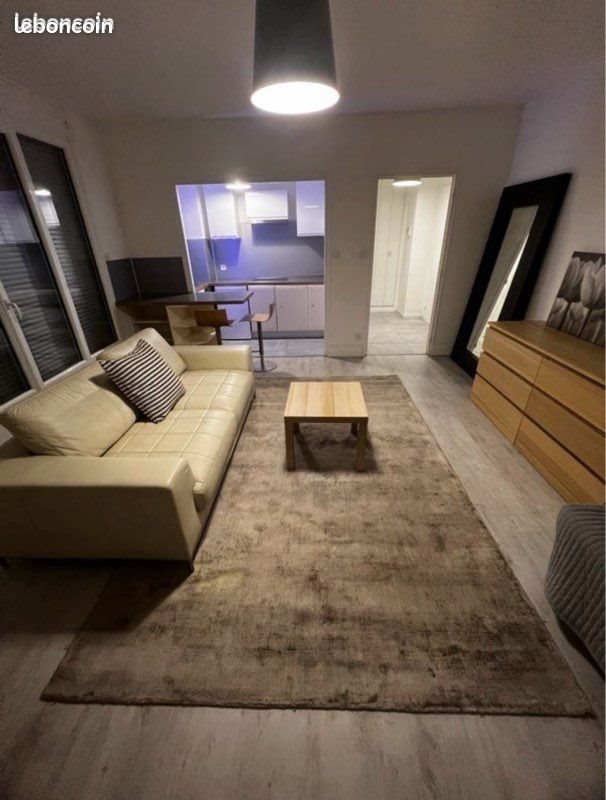 Appartement à louer, 33m², Villeurbanne