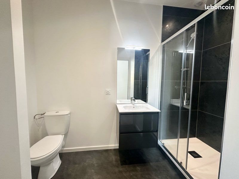 Appartement à louer, 45m², Châtel-Guyon