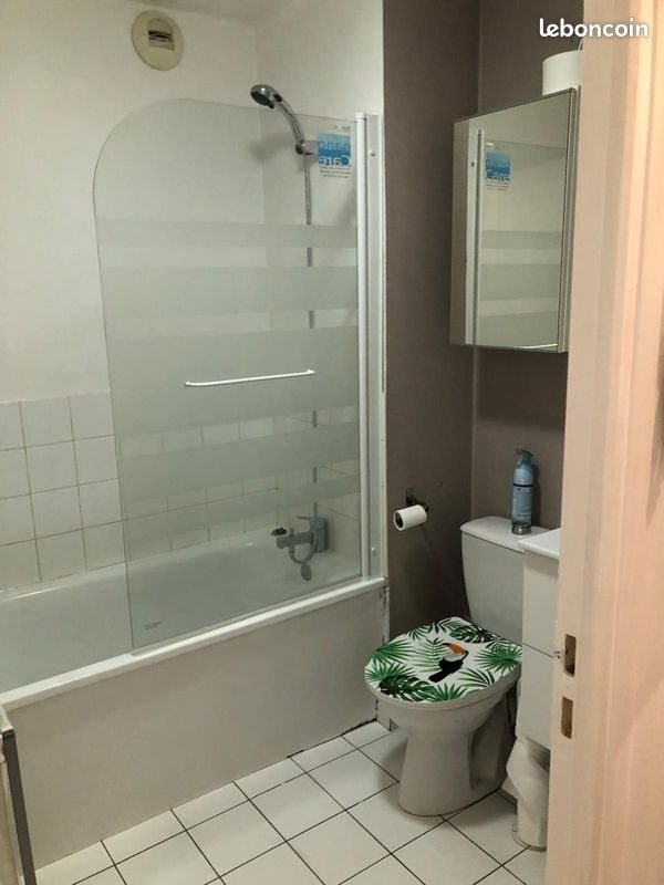 Appartement à louer, 24m², Lille