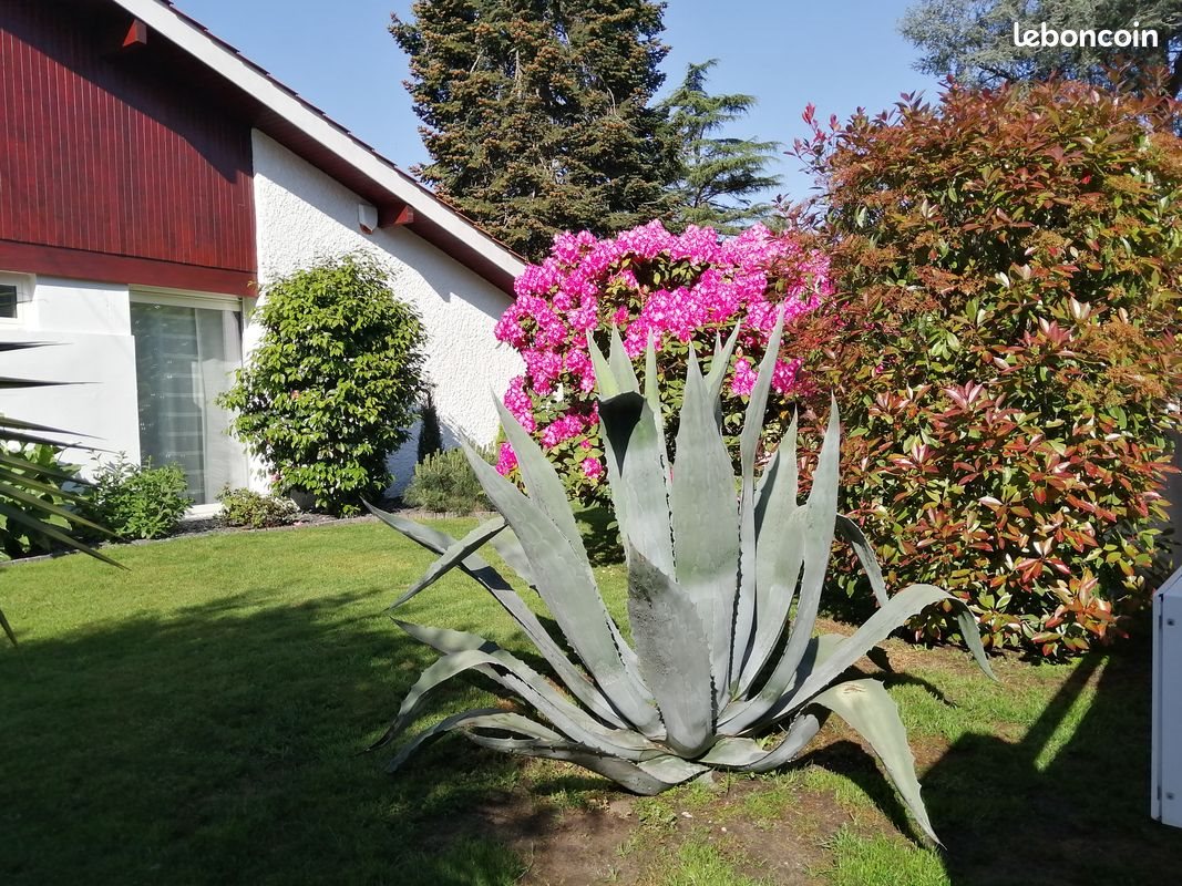 Maison à vendre, 160m², Mérignac