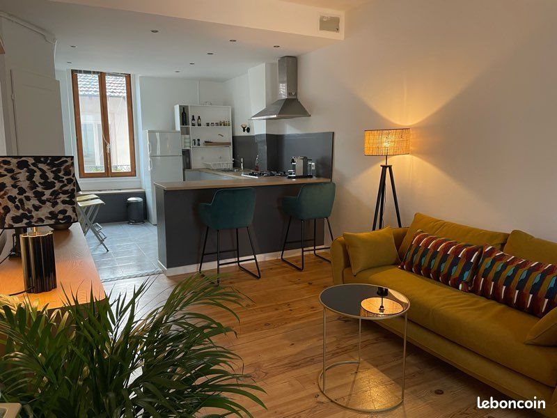 Appartement à louer, 55m², Villeurbanne