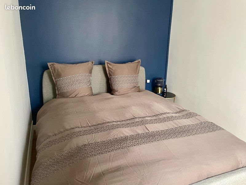 Appartement à louer, 55m², Villeurbanne