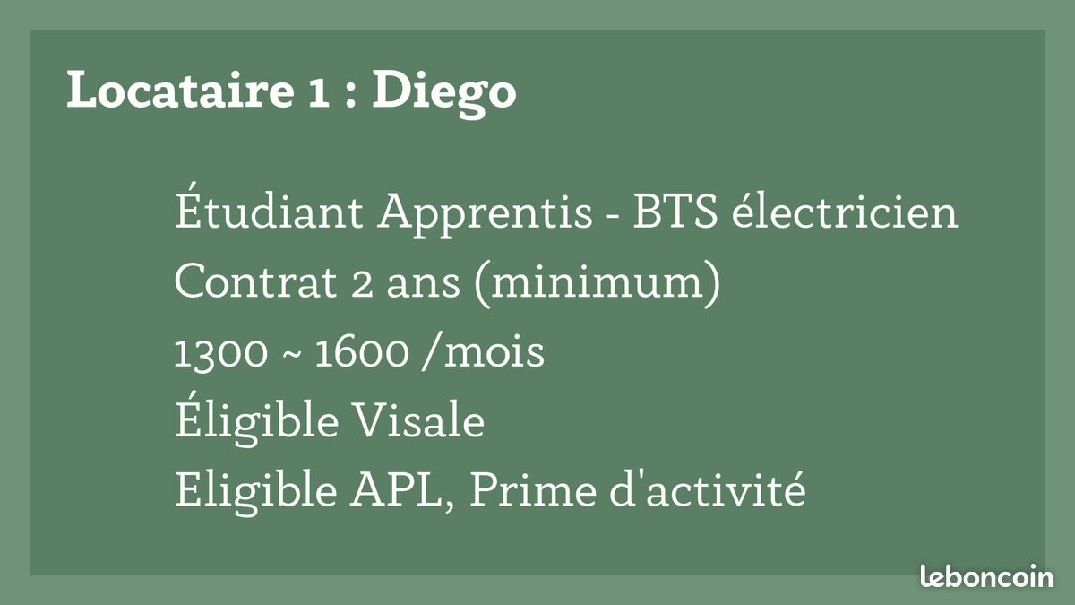 Appartement à louer, 30m², Toulouse