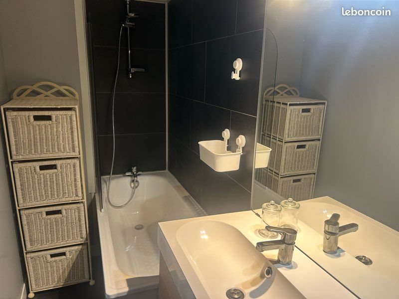 Appartement à louer, 25m², Nancy